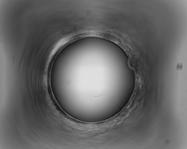 X0000100380006200806131110