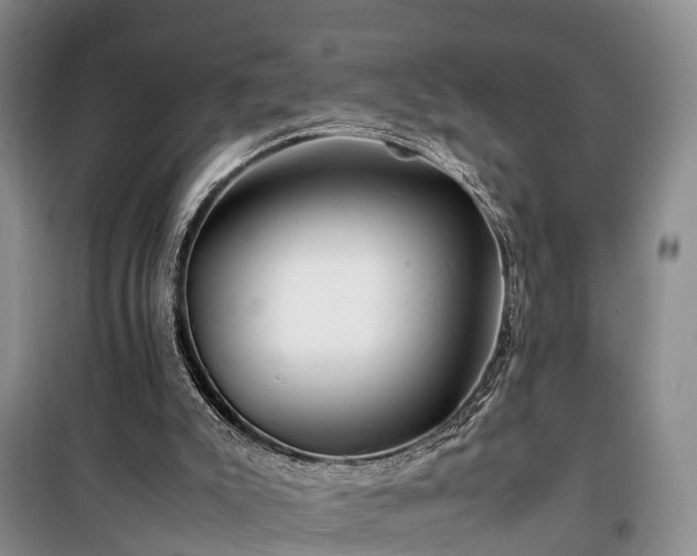 X0000100380007200806131110