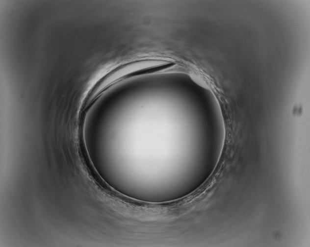X0000100380008200806131110