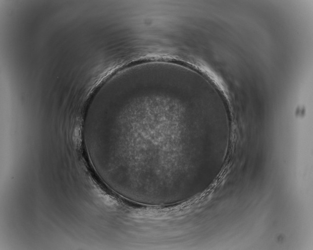 X0000100380009200806131110
