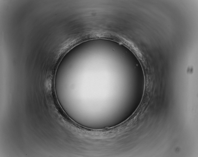 X0000100380010200806131110