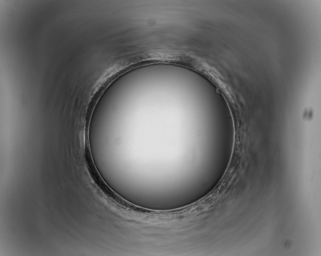 X0000100380011200806131110