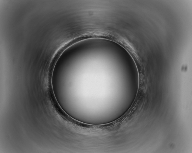 X0000100380012200806131110