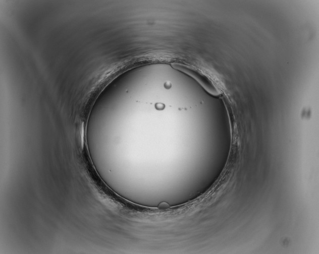 X0000100380013200806131110