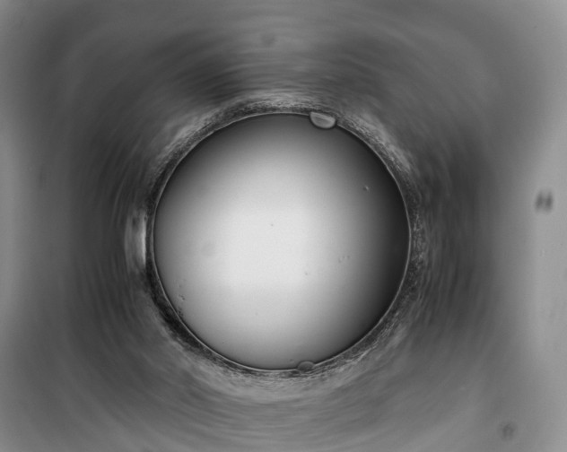 X0000100380014200806131110