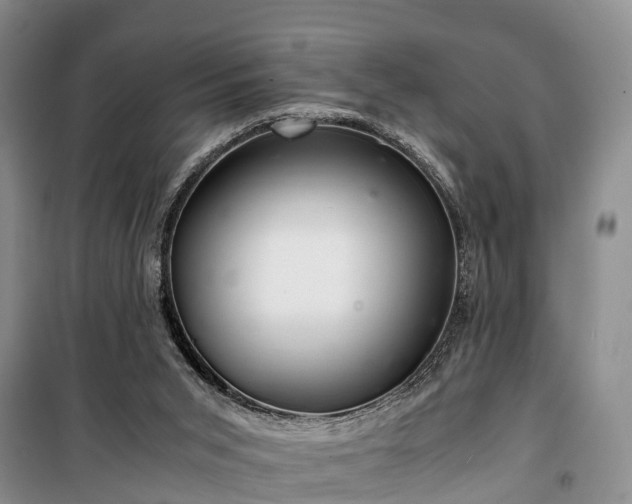 X0000100380015200806131110