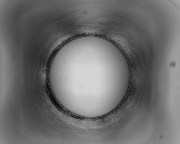 X0000100380016200806131110