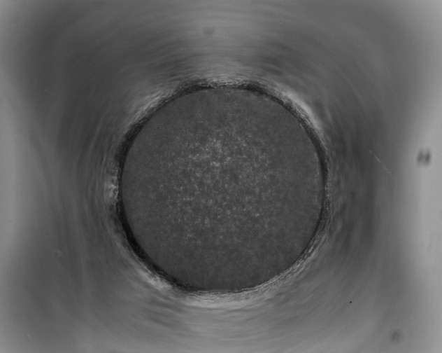 X0000100380017200806131110