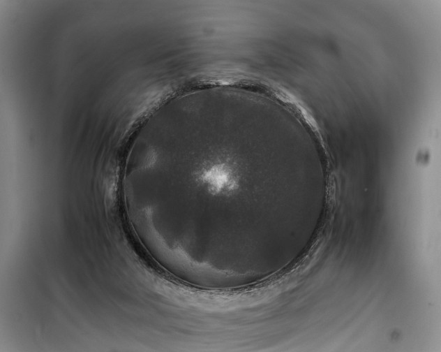 X0000100380018200806131110