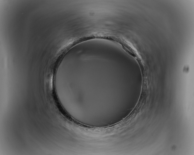 X0000100380019200806131110