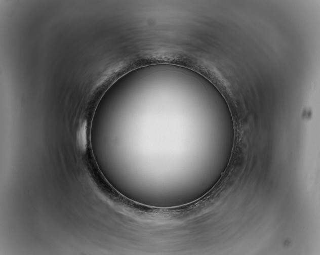 X0000100380020200806131110