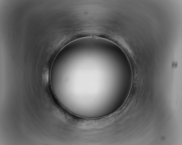 X0000100380021200806131110