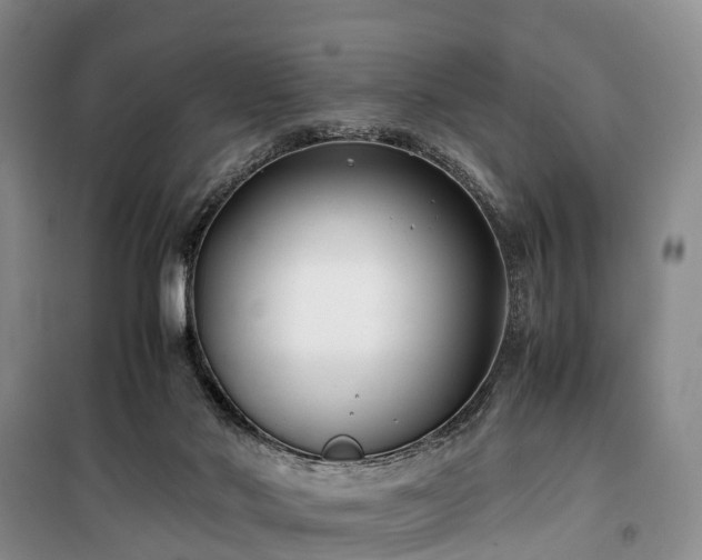 X0000100380022200806131110