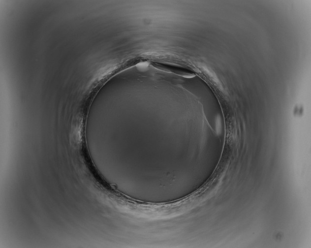 X0000100380023200806131109