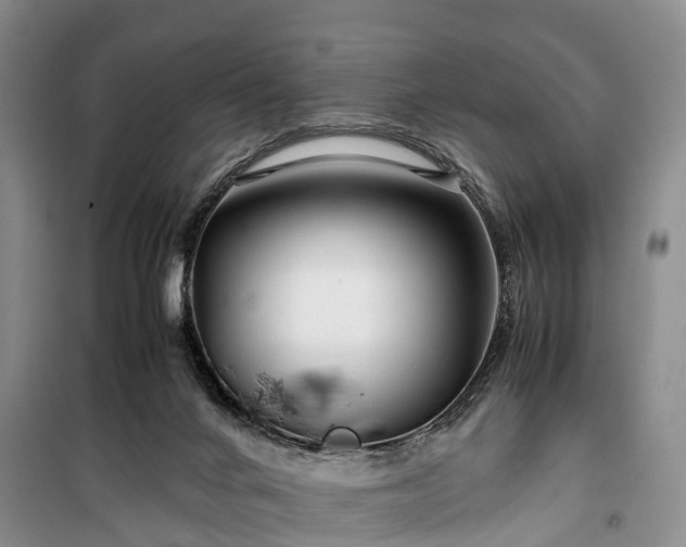 X0000100380024200806131109
