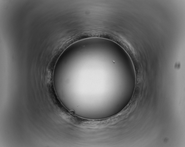 X0000100380025200806131109