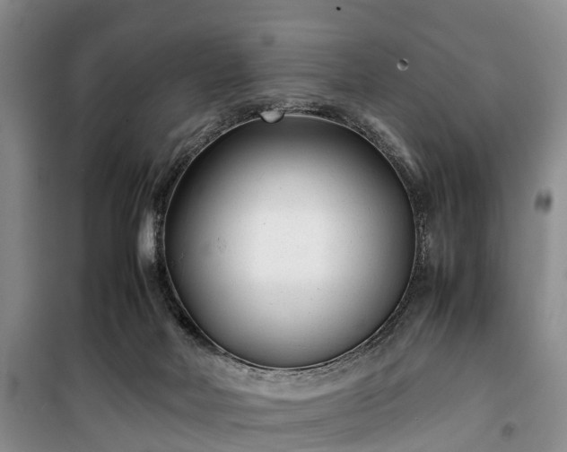 X0000100380026200806131109