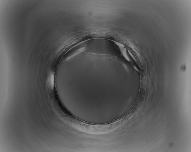 X0000100380027200806131109