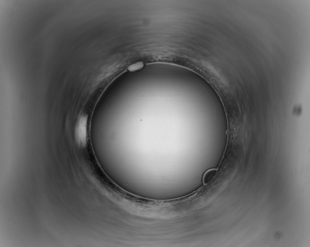 X0000100380028200806131109