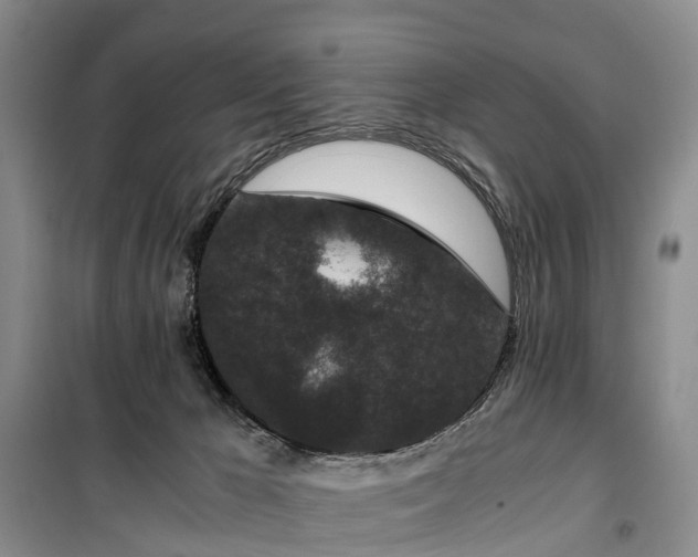 X0000100380029200806131109