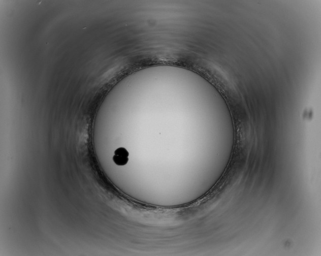 X0000100380032200806131109