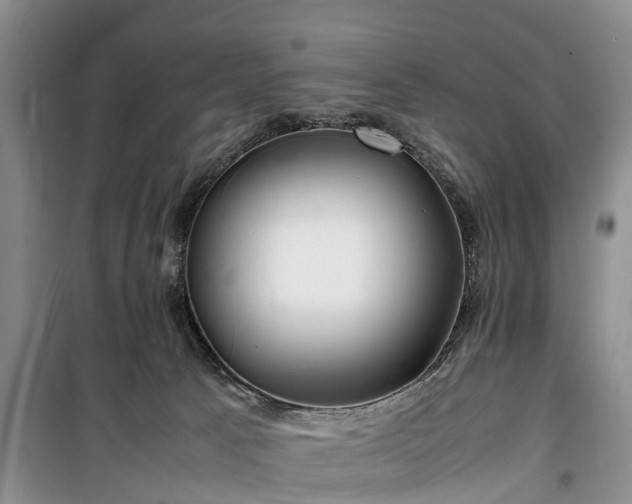 X0000100380033200806131109