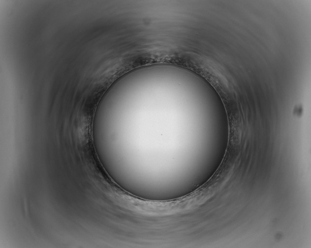 X0000100380034200806131109