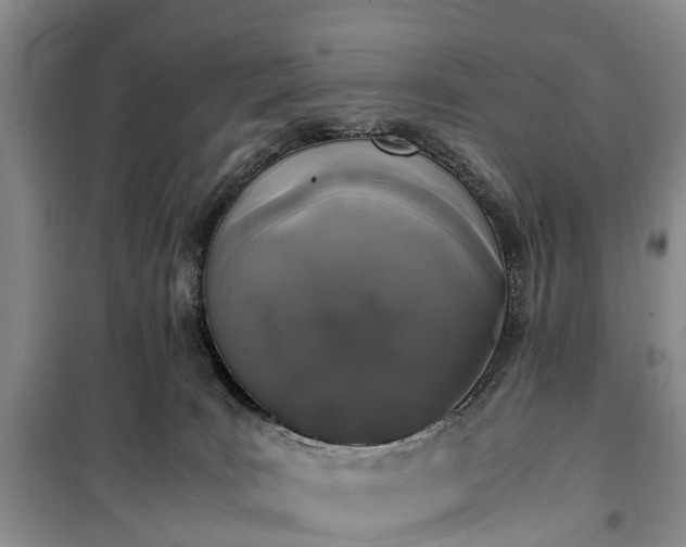 X0000100380035200806131109