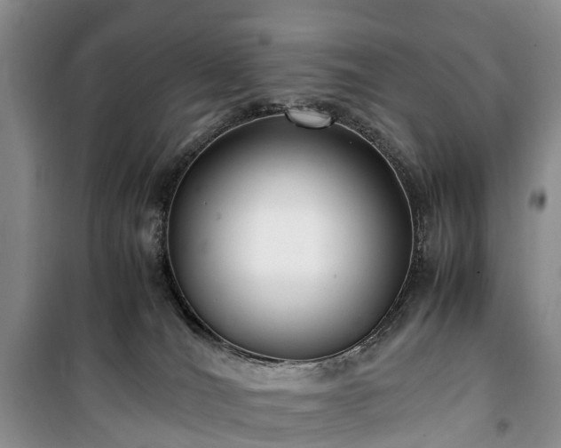 X0000100380036200806131109