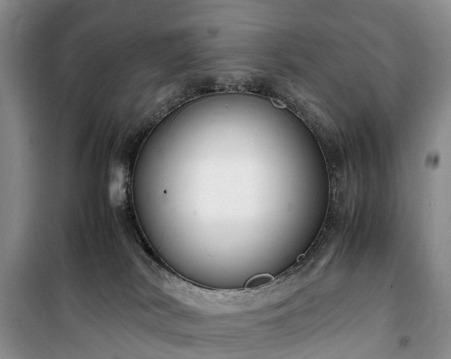 X0000100380038200806131109