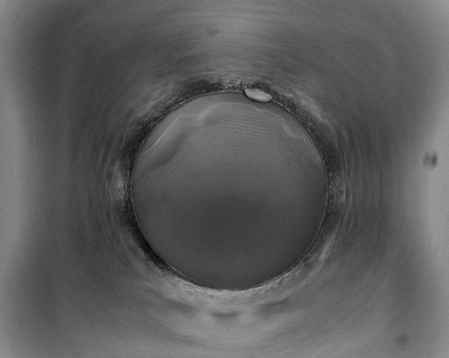 X0000100380039200806131109