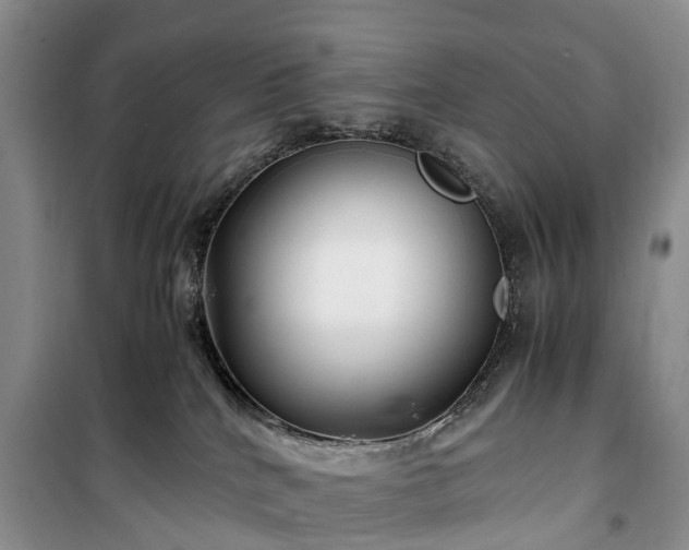 X0000100380040200806131109