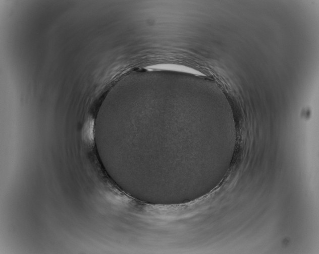 X0000100380041200806131109