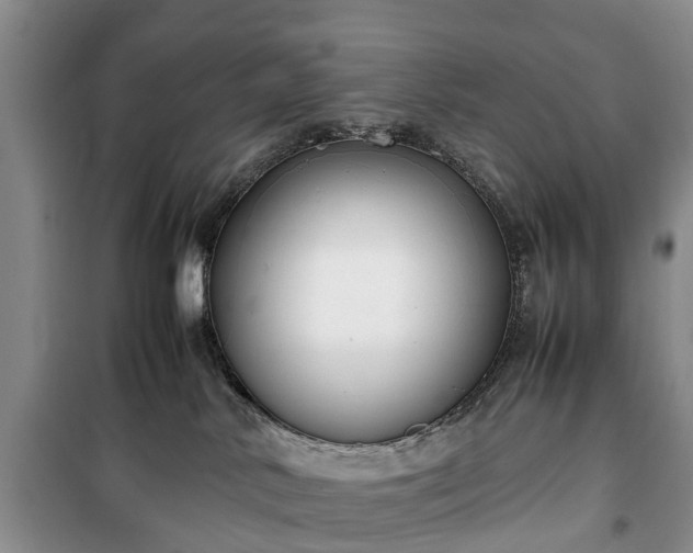 X0000100380042200806131109