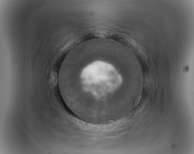 X0000100380043200806131109