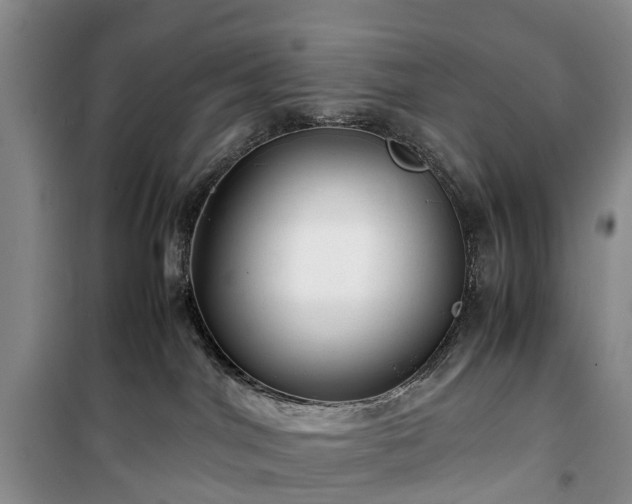 X0000100380044200806131109