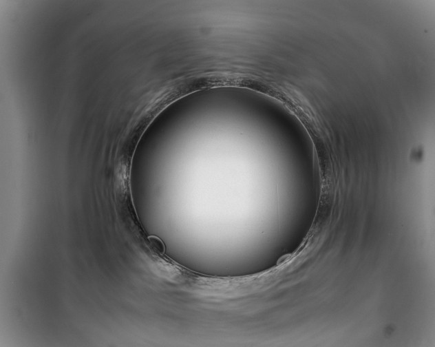 X0000100380045200806131109
