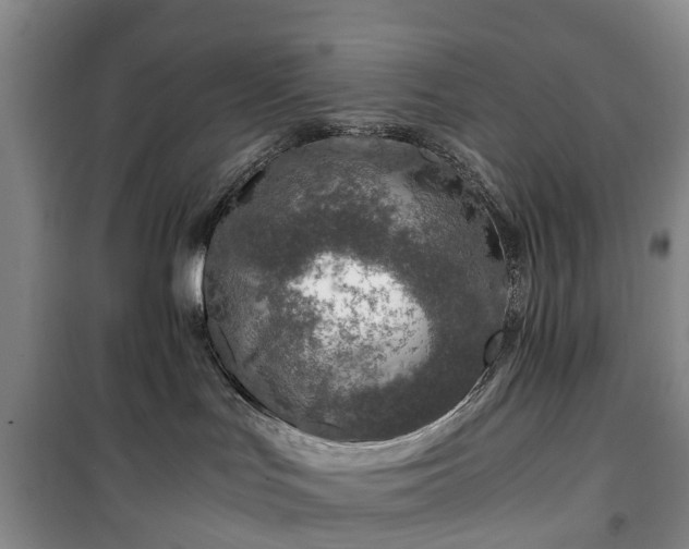 X0000100380047200806131109