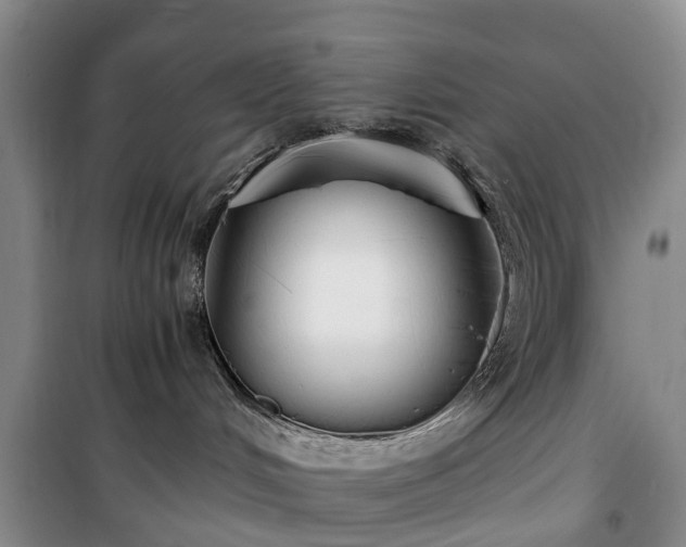 X0000100380048200806131109