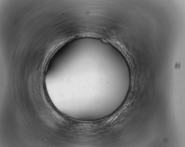 X0000100380049200806131108
