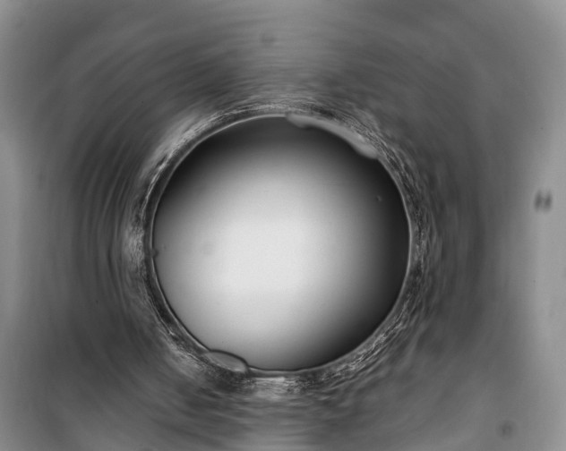 X0000100380050200806131109