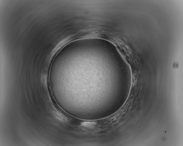 X0000100380051200806131109