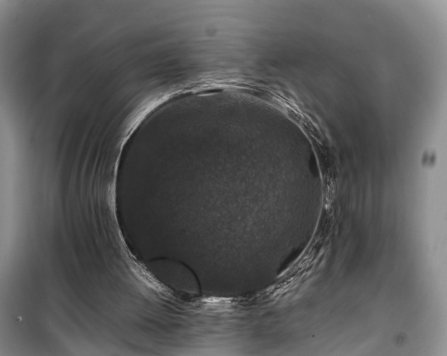 X0000100380052200806131109