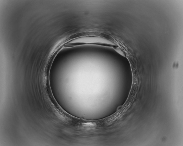 X0000100380053200806131109