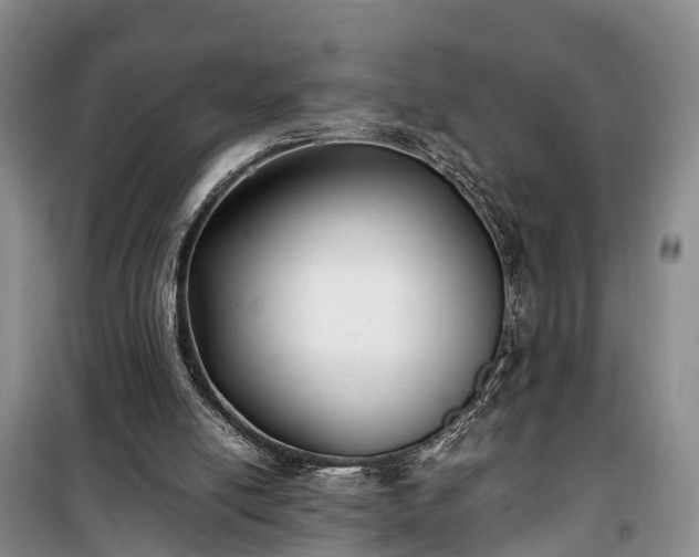 X0000100380054200806131109