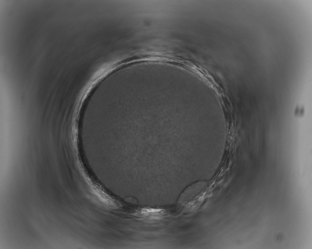 X0000100380055200806131109