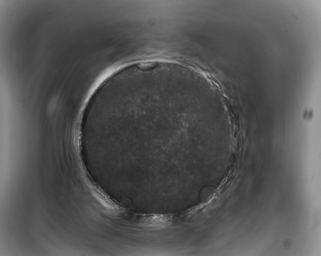 X0000100380056200806131109