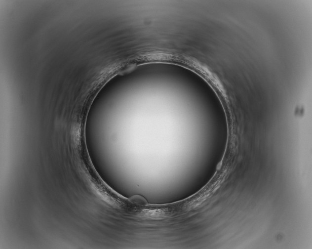 X0000100380057200806131109