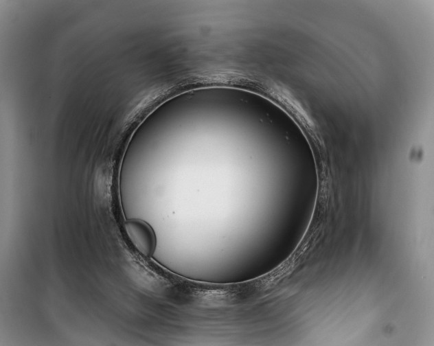 X0000100380058200806131109
