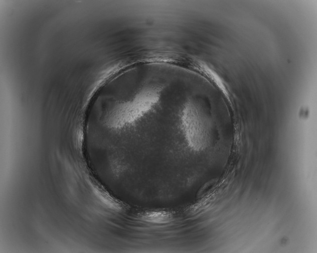 X0000100380059200806131109